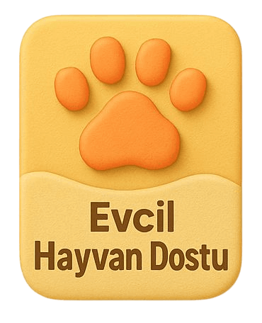 evcil